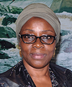 CEO of the Nigerian Investment Promotion Commission (NIPC), Mrs. Uju Aisha Hassan Baba